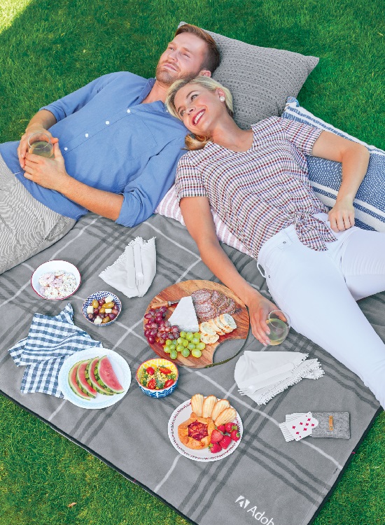 St. Louis Cardinals - Blanket Tote Outdoor Picnic Blanket – PICNIC